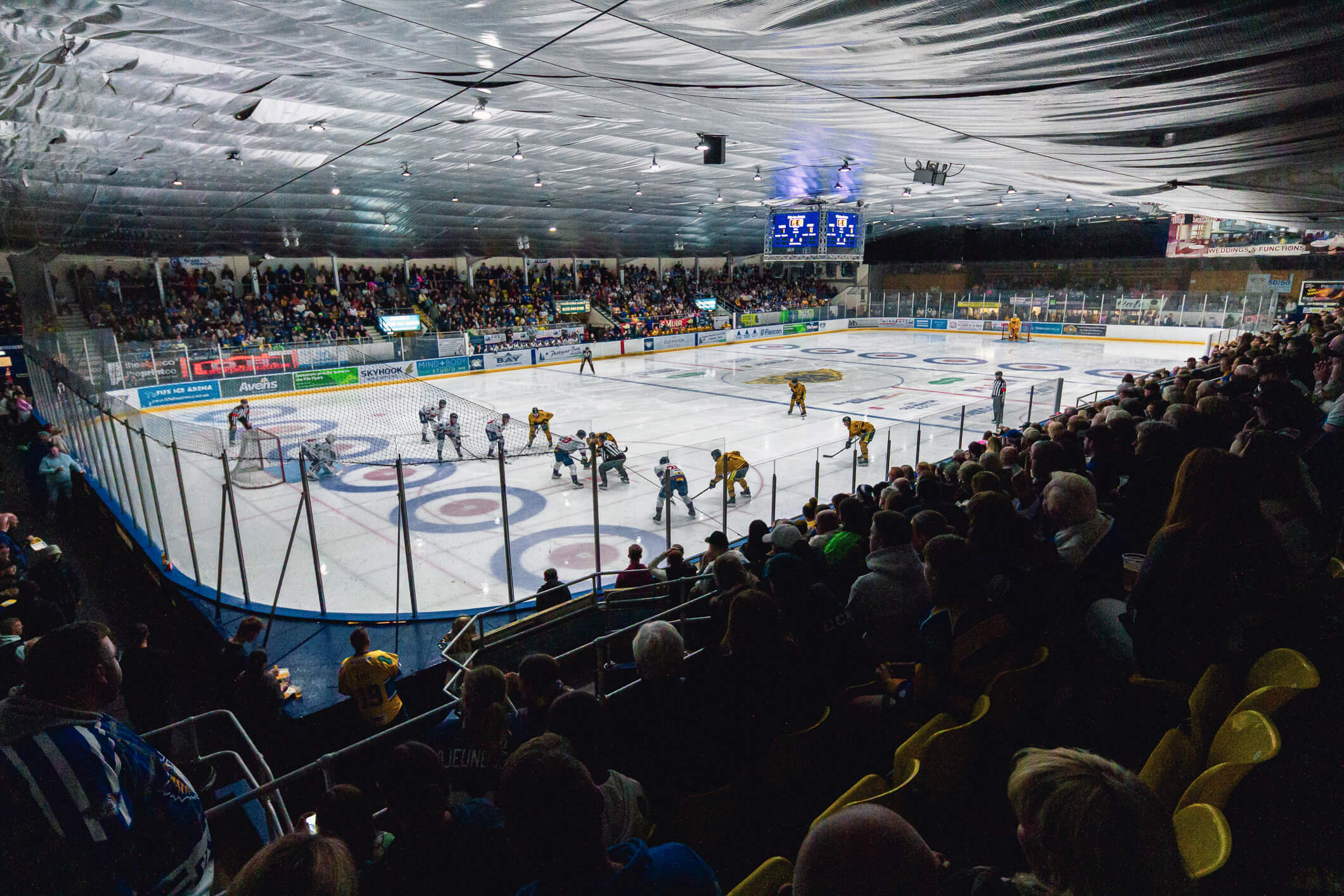 Thank you – a message from Fife Flyers President and GM Max Birbraer