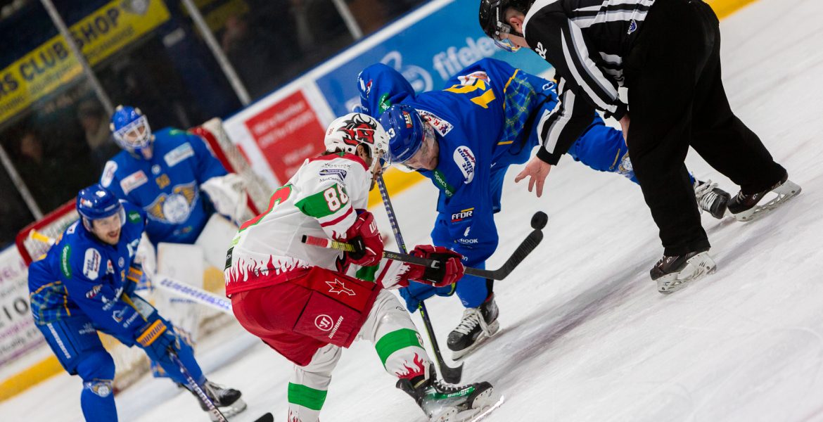 CAR231124DY-38 #image_title