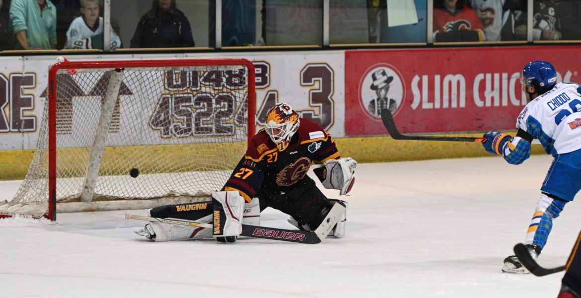 DSC_4504 Olly #image_title